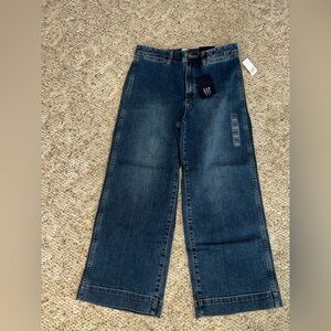 GAP Denim Classic Blue Jeans
